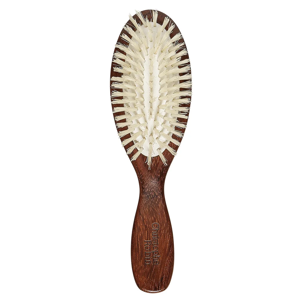 Travel Hairbrush Image 1