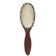 Detangling Hairbrush