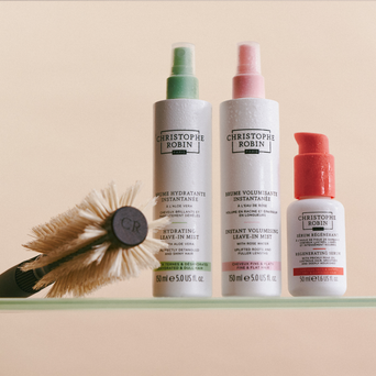 Robin Hair Christophe Robin | Luxury Haircare | Official Site